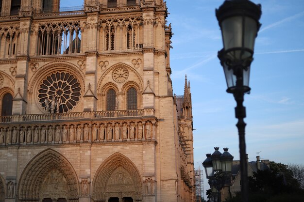 Foto notre-dame. ¿qué es esto?