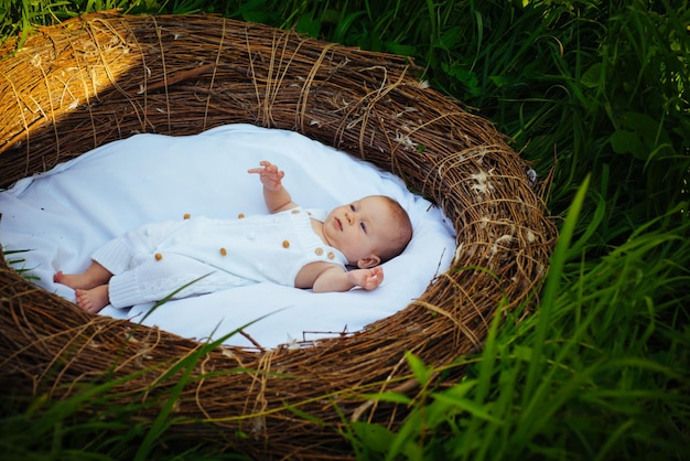 Nova casa para o bebê recém-nascido. O bebê recém-nascido gosta de uma vida despreocupada. Proporcionando um início de vida saudável para cada bebê recém-nascido. Palavras não podem expressar a alegria de uma nova vida. Lar Doce Lar