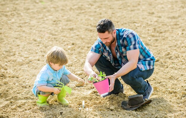 Nova vida solos e fertilizantes pai e filho plantando flores em solo rico solo natural Eco fazenda dia da terra dia da terra Árvore genealógica menino criança ajuda pai na agricultura Presentes da natureza