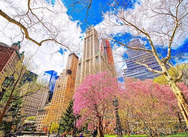 Nova York, EUA - 24 de abril de 2015: As árvores florescem no City Hall Park com turistas, Lower Manhattan, Nova York, EUA. Arranha-céus ao fundo.