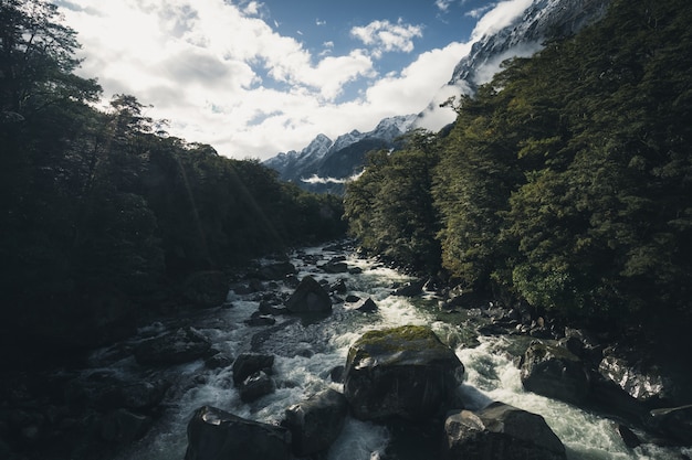 Nova Zelândia Milford Sound