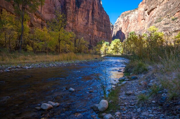 November Sunshine Falls en Virgin River