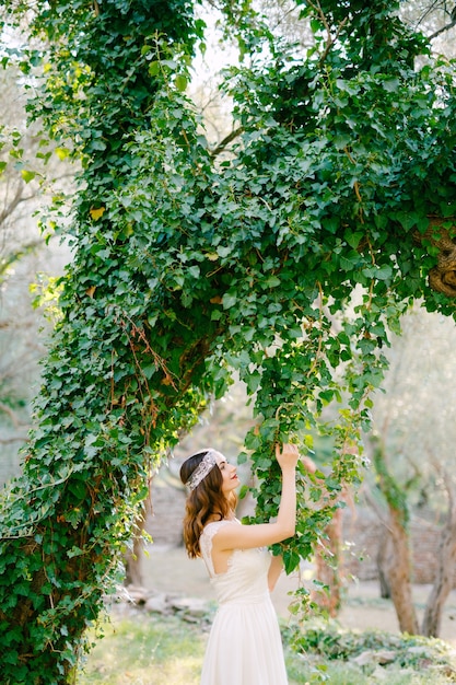 La novia se para cerca del hermoso árbol cubierto de hiedra y toca la hiedra colgante en un