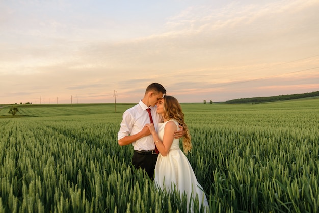 Novia y el novio en un campo de trigo. Una pareja se abraza durante el atardecer.