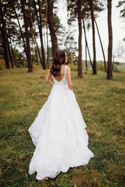 La novia y el novio corren por un bosque Sesión de fotos de boda