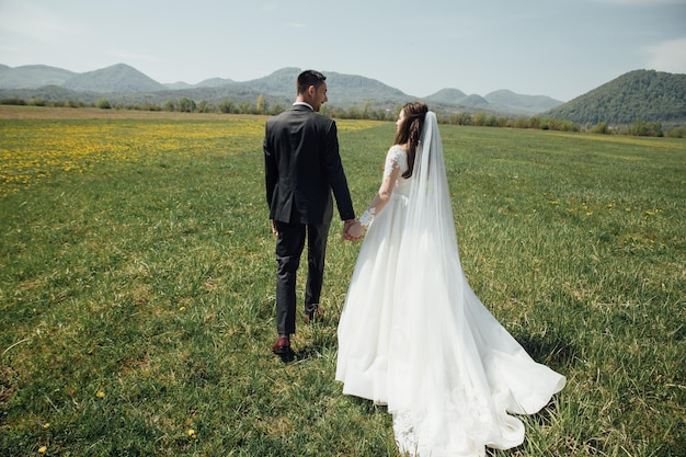 La novia y el novio en el día de la boda caminando al aire libre en la naturaleza verde de verano.