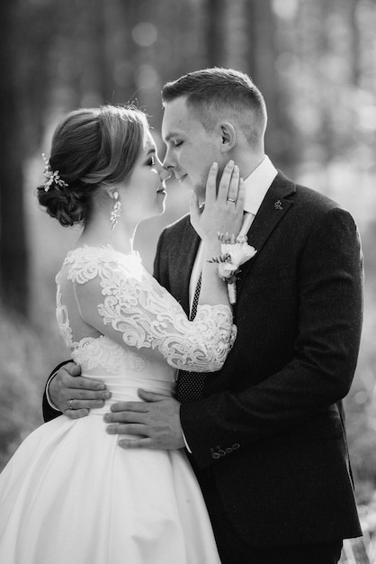 La novia y el novio están caminando en un bosque de pinos en un día brillante