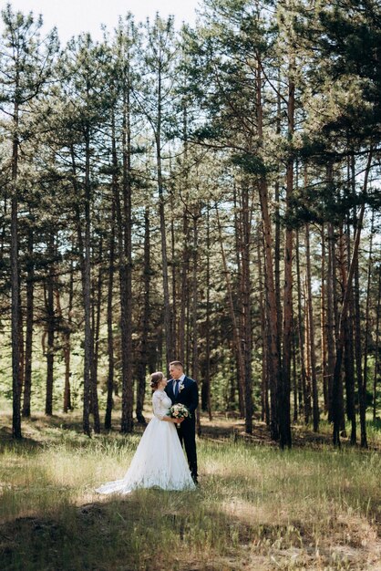 La novia y el novio están caminando en un bosque de pinos en un día brillante