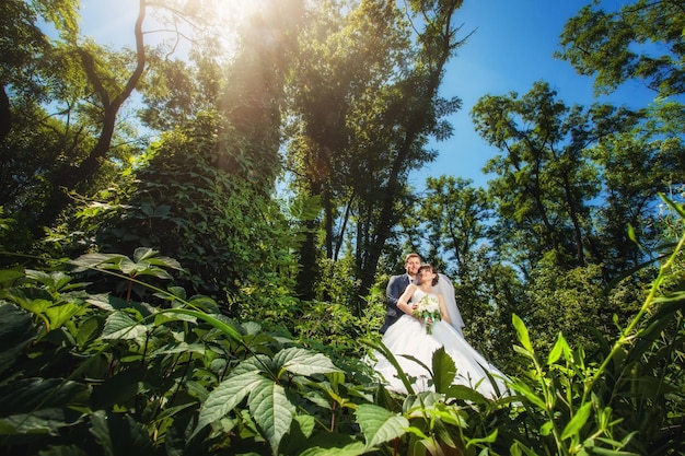 Novia y novio en un increíble bosque verde de verano