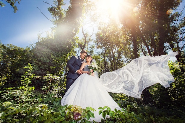 Novia y novio en un increíble bosque verde de verano