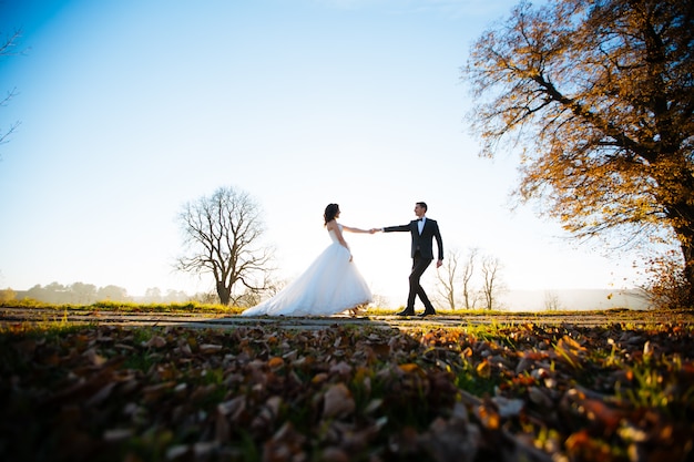 Novia y novio retratos de boda en la naturaleza