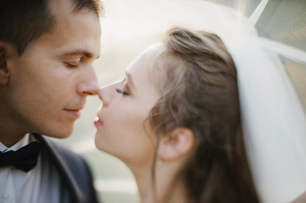 Foto la novia y el novio se tocan tiernas mientras posan bajo su velo