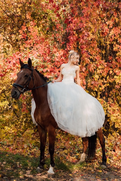 Novia con un vestido blanco exuberante posando en un parque de otoño sobre un caballo en un día soleado