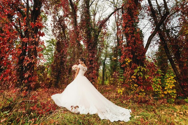 La novia se para en un vestido con un tren largo en un bosque de otoño.