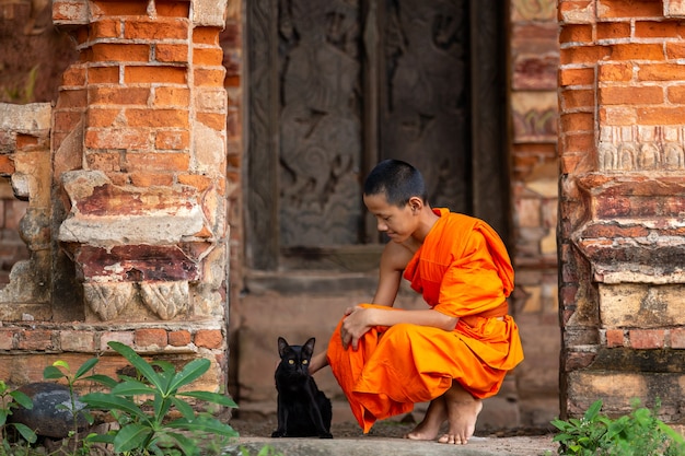 Novice Monk und Katzen leben nicht mit dem Schicksal, sondern leben mit Intelligenz.