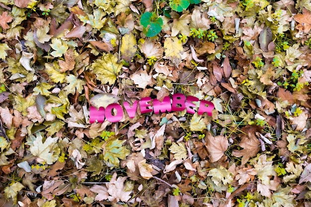 Noviembre de palabra de papel sobre fondo de hojas de colores