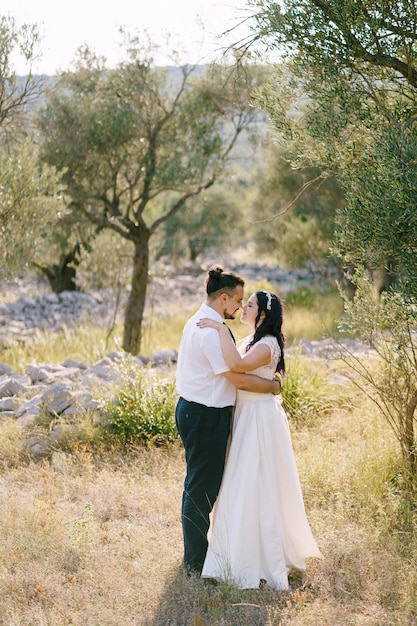 El novio abraza a la novia en el jardín de los olivos