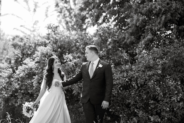 El novio y la novia caminan por el bosque.