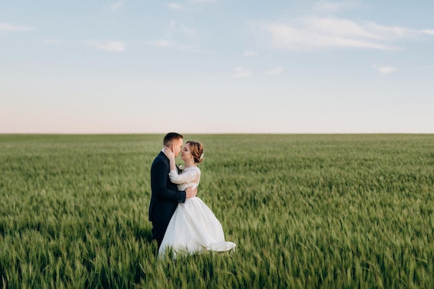 El novio y la novia caminan por el campo verde de trigo en un día brillante