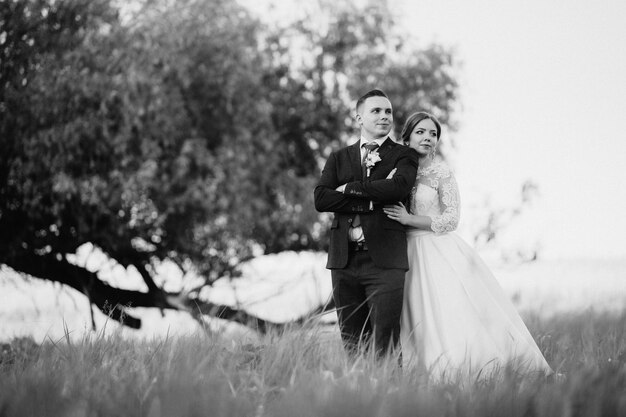 El novio y la novia están caminando en el bosque cerca de un río estrecho en un día brillante