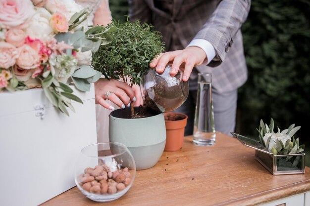 El novio y la novia plantan un árbol en la ceremonia