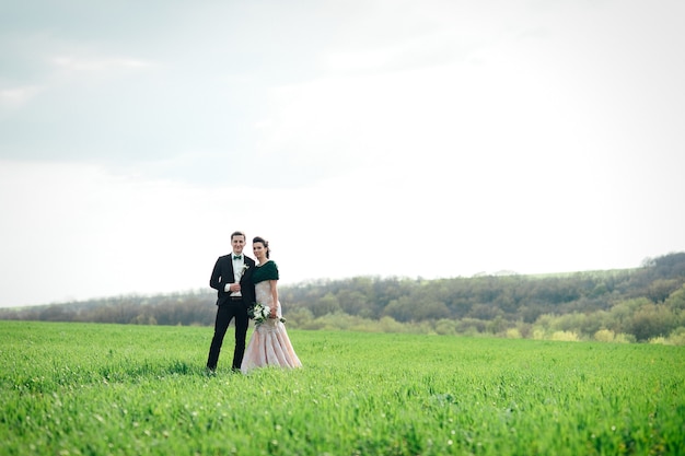 El novio con un traje marrón y la novia con un vestido color marfil en un campo verde que se aleja en la distancia contra el cielo