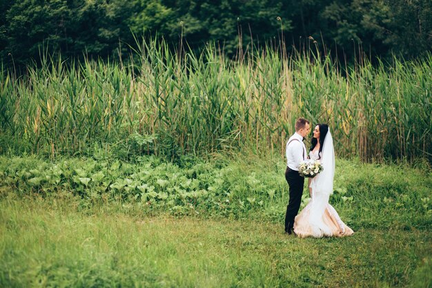 Novios abrazándose el día de la boda, feliz pareja joven besándose en el parque en la naturaleza, día de san valentín