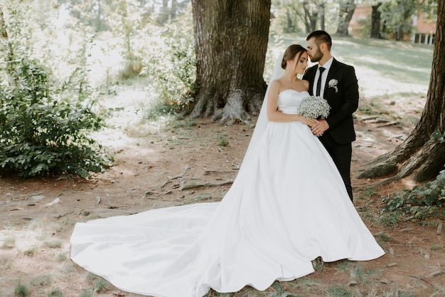 Novios en bosque de pinos