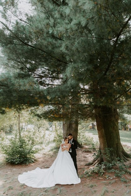 Novios en bosque de pinos