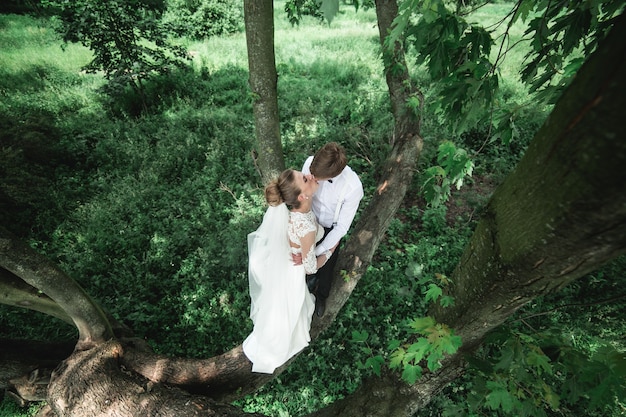 Foto novios en el bosque