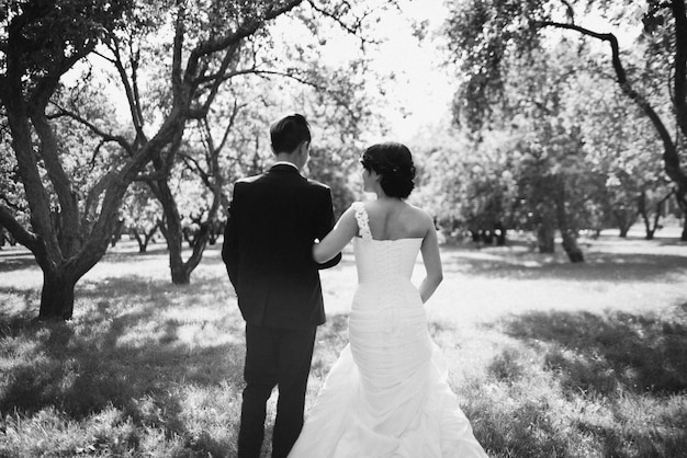 Novios coreanos, día de la boda, novia y novio.