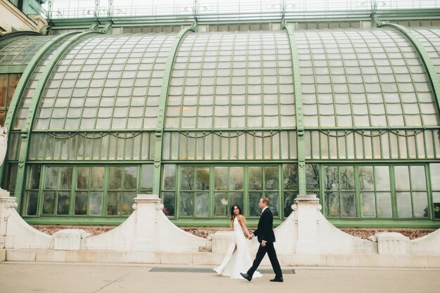 Novios en Viena