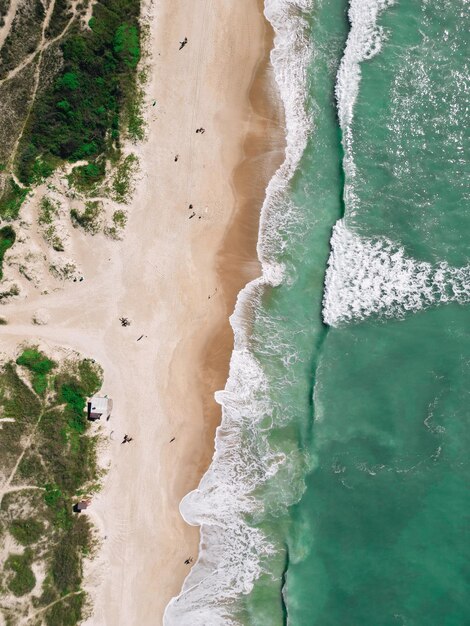 Foto novo campeche vista de cima