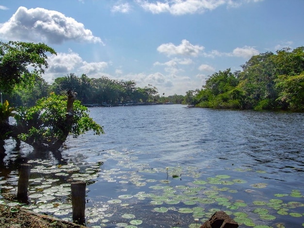 Foto novo rio em belize