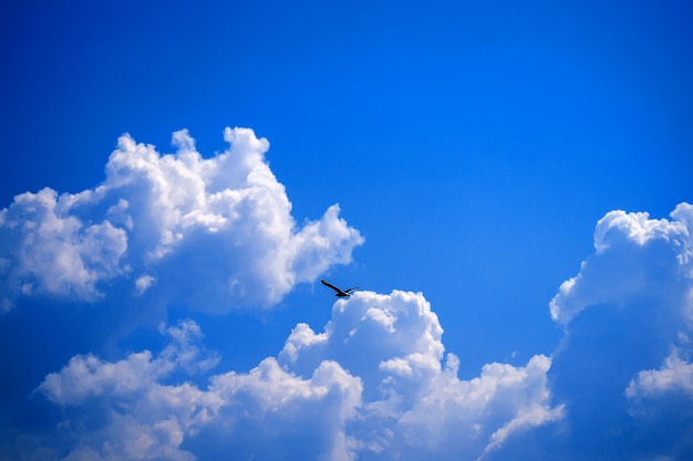 nube en cielo azul