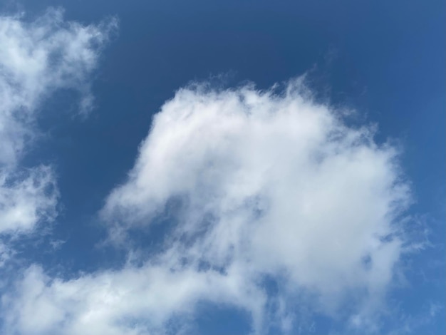 Una nube en el cielo con la palabra "la palabra". "