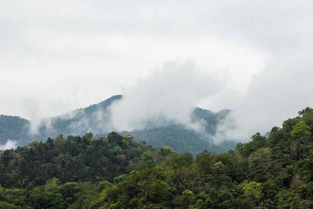 Nube sobre la montaña en tiempo de niebla