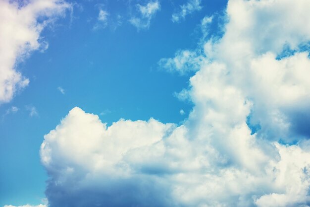 Nubes altas en el cielo de verano Fondo del cielo Observaciones meteorológicas del cielo