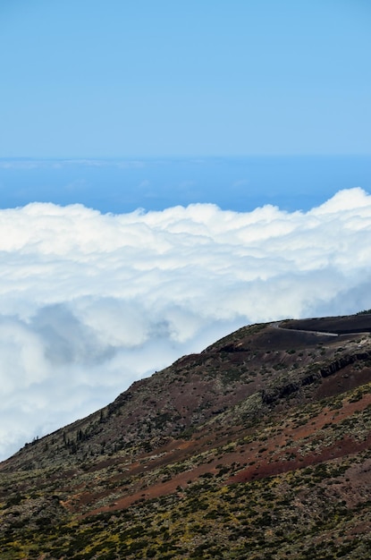 Nubes altas sobre el bosque de árboles de cono de pino en la isla de Tenerife