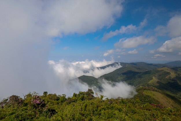 Nubes bajas que cubren los picos de la colina, en la cima de la Serra da Mantiqueira. Estado de Minas Gerais, Brasil