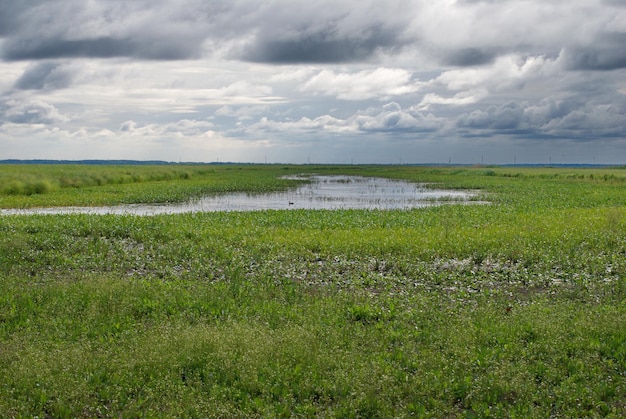 Nubes bajas sobre un prado inundado y un pequeño río. Siberia occidental. Rusia