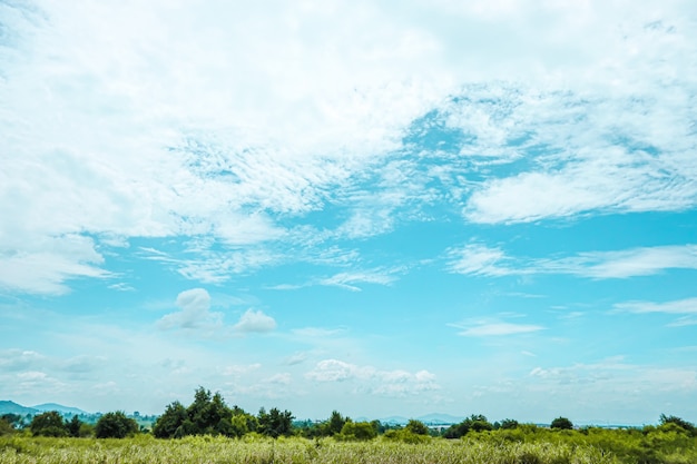 Nubes blancas y cielo azul con árboles del paisaje de hermosa vista