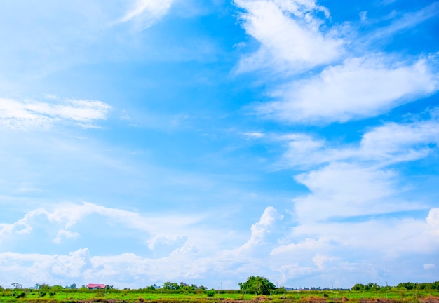 Foto nubes blancas y cielo azul con árboles de vista hermosa paisaje uso para publicidad