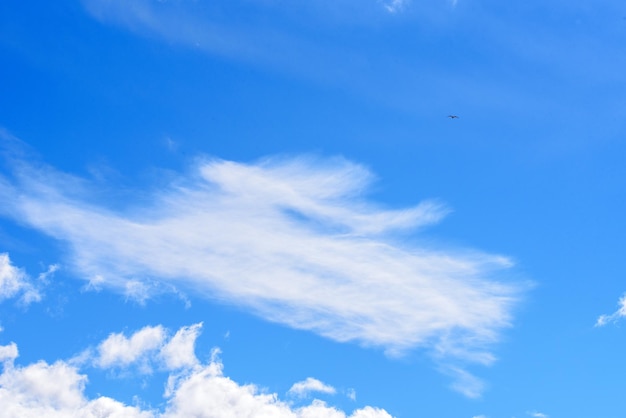 Nubes blancas y cielo azul y pájaro volador.