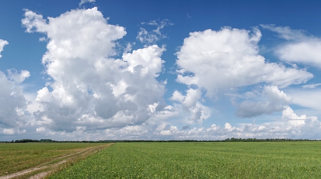 Nubes blancas en el cielo azul.