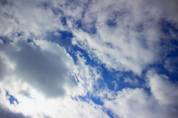 Nubes blancas mullidas sobre un fondo de cielo azul.