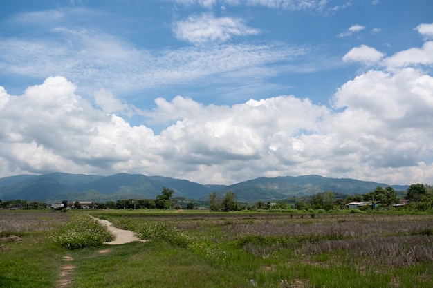 Las nubes blancas tienen una forma extraña y un paisaje campestre. Cielo nublado y azul.