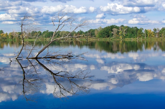 Nubes del bosque de otoño reflejadas en un lago