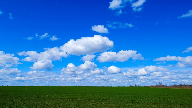 Nubes en el cielo azul sobre el campo de mijo