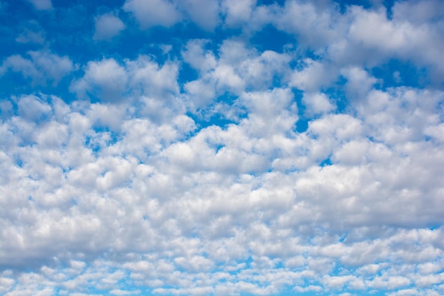 Las nubes de color blanco cubren el cielo azul durante el día